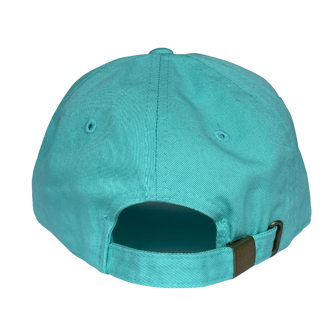 Baby Gay Dad Hat - Mint Green